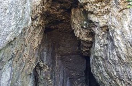 Wukong Cave