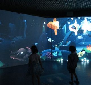 Aquarium of Anemonefish