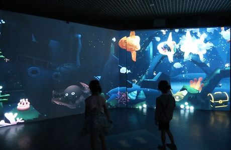 Aquarium of Anemonefish