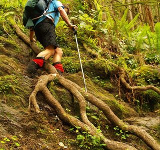 Old Genliao Hiking Trail