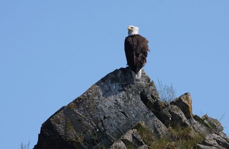 Eagle Rock Tip
