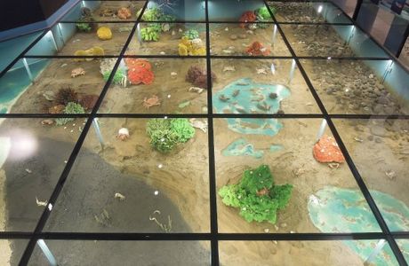 Ocean Resource Hall