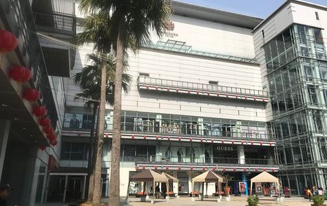 Tiger City 1