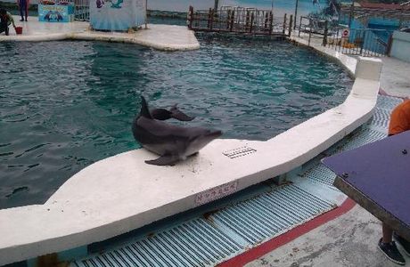 Yehliu Ocean World