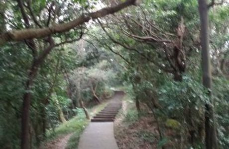 Citou Trail