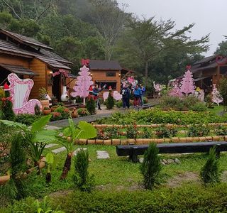 Annie's Garden