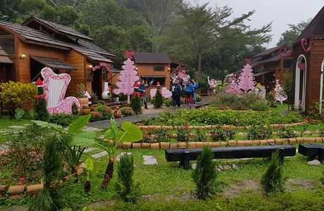 Annie's Garden