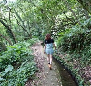 Ping Ding Gu Zun Hiking Trail