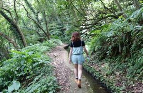 Ping Ding Gu Zun Hiking Trail