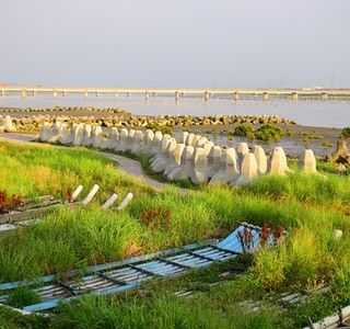 Li Shuei Fish Harbor