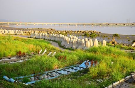 Li Shuei Fish Harbor