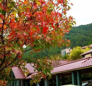 Wuling Forest Recreation Area