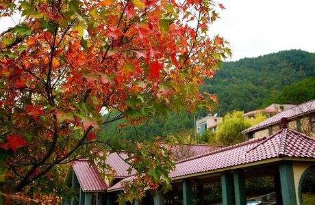 Wuling Forest Recreation Area