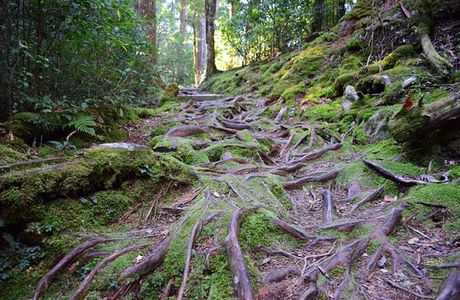 Dasyushan Forest Recreation Area