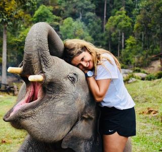 Elephant Care & Grand Canyon Jumping