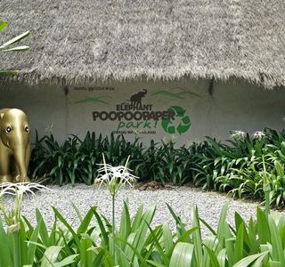 Elephant POOPOOPAPER Park