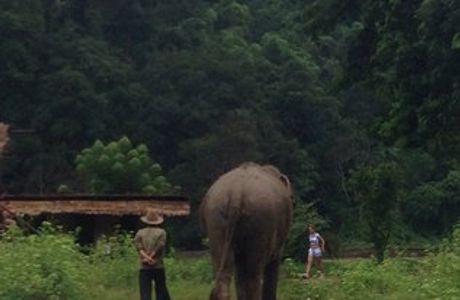 Mayrin Elephant Family Camp