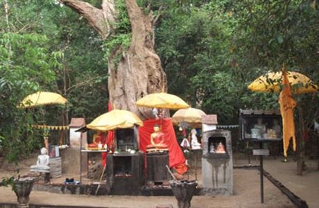 Kebiliththa - Siyambalawa devalaya