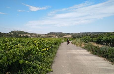 Rioja Rentabike