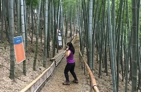 Maengjongjuk Theme Park