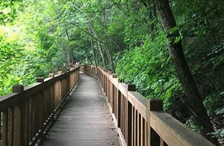 Kalbongsan Recreational Forest