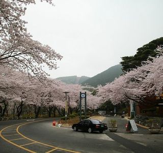 Jangboksan
