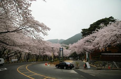 Jangboksan
