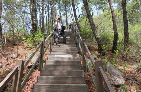 Mt Biseulsan National Park