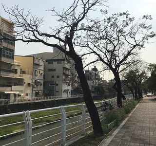 Fengshan Xi