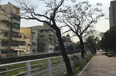 Fengshan Xi