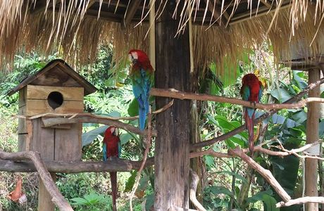 Green World Ecological Farm