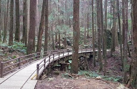 Tefuye Trail