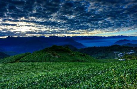 Alishan Siding Yunhai