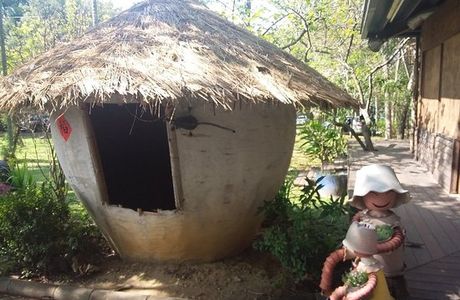 Minsyong Kingezei Farm