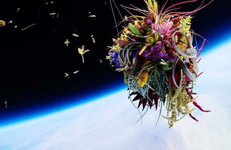 Flower Space