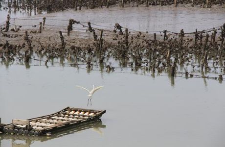Siangshan Wetland