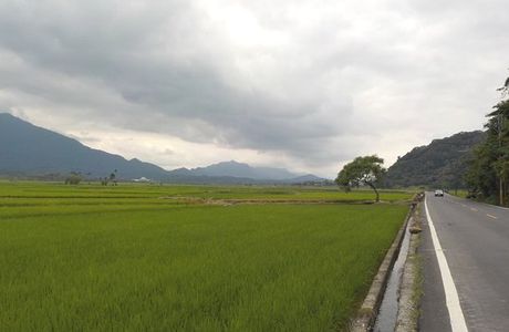 Zhuofu Road