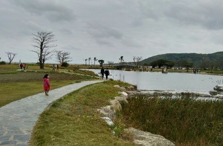 Tai Kai Xin Farm
