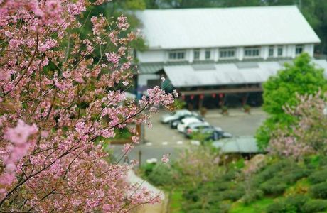 Fenghuang Nature Education Area