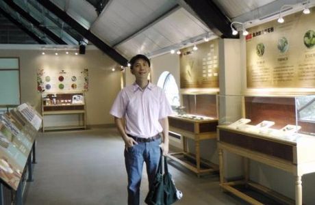 Liao Mayor Black Tea Shop