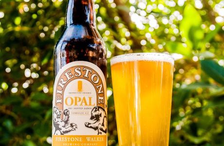 Hoppy Craft Beer
