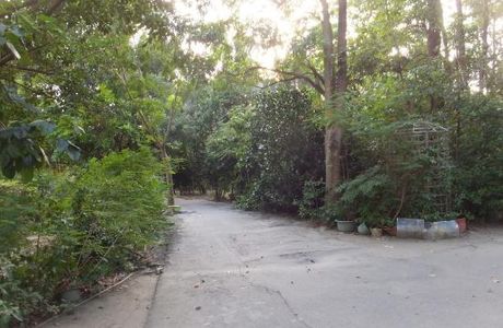 Dushi Shenlin Bathing Spot