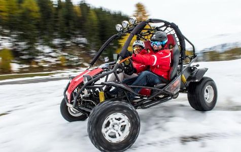 Buggy Park 1