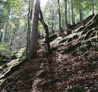 Zwergenweg