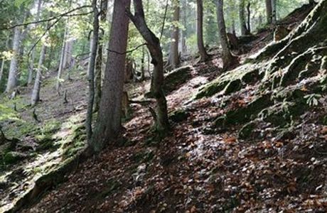Zwergenweg