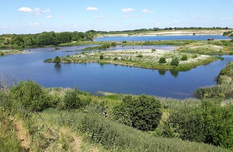 College Lake Nature Reserve