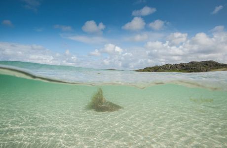 Reef Beach