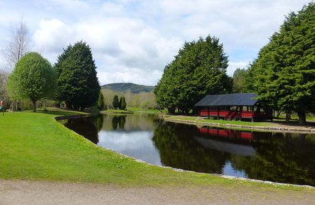 Whin Park