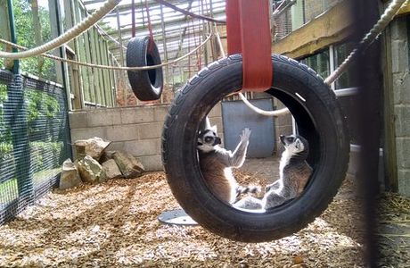 Ponderosa Zoo