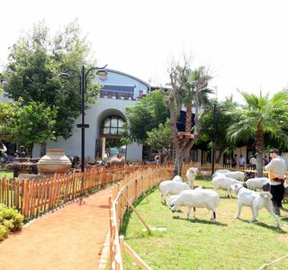 Manavgat Kent Muzesi